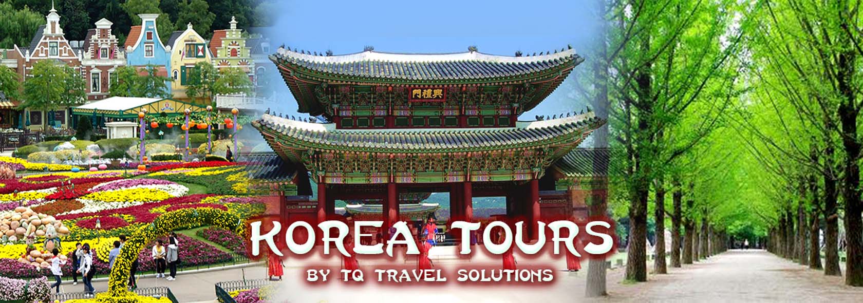 aboex travel and tours korea